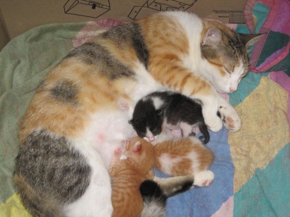 ???????????????????????????????