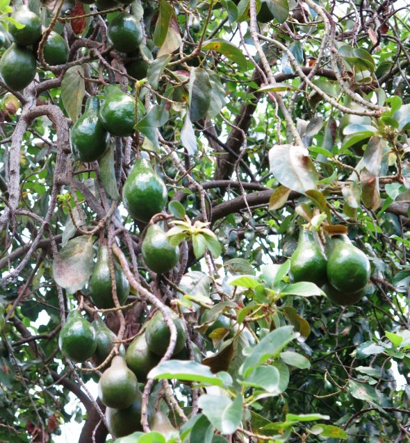 ???????????????????????????????